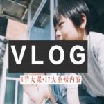 零基础VLOG视频课教你小白变大神-生活美学教程