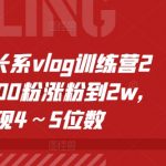 个人成长系VLOG训练营2期，从500粉涨粉到2W，变现4～5位数