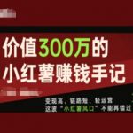 价值300万的小红书赚钱手记，变现高、链路短、轻运营，这波“小红薯风口”不能再错过