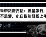 视频号带货新方法：流量飙升，日入千元不是梦，小白也能轻松上手【揭秘】