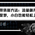 视频号带货新方法：流量飙升，日入千元不是梦，小白也能轻松上手【揭秘】