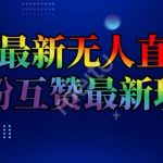 抖音最新无人直播间互粉互赞新玩法，一天收益2K+【揭秘】