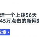 某付费文章《如何打造一个上线56天就拿下45万点击的新网站?》