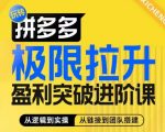 拼多多极限拉升盈利突破进阶课，​从算法到玩法，从玩法到团队搭建，体系化系统性帮助商家实现利润提升