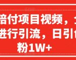 爆火赔付项目视频，全网平台进行引流，日引创业粉1W+【揭秘】