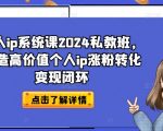 个人ip系统课2024私教班，打造高价值个人ip涨粉转化变现闭环