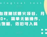 小红书心理测试爆火项目，月入7000+，简单无脑操作，尚未饱和，依旧可入局