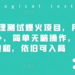 小红书心理测试爆火项目，月入7000+，简单无脑操作，尚未饱和，依旧可入局