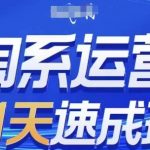 淘系运营21天速成班(更新24年8月)，0基础轻松搞定淘系运营，不做假把式