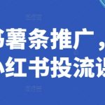 小红书薯条推广，少有的小红书投流课程