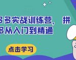 最新拼多多实战训练营， 拼多多从入门到精通