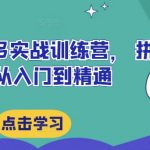 最新拼多多实战训练营， 拼多多从入门到精通