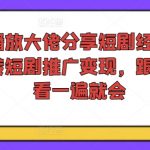 千万播放大佬分享短剧经验，带你玩转短剧推广变现，跟着操作看一遍就会