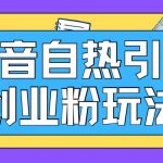 抖音引流创业粉自热玩法日引200+精准粉