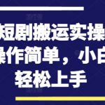 快手短剧搬运实操全流程，操作简单，小白也可轻松上手