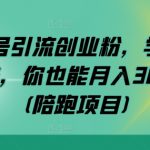 公众号引流创业粉，学会这个方法，你也能月入30000+ (陪跑项目)