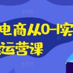 小红书电商从0-1实操运营课，小红书手机实操小红书/IP和私域课/小红书电商电脑实操板块等