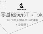 零基础玩转TiKToK变现课，TikTok最新撸基金玩法详解