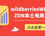 wildberriesWB野莓/OZON本土电商系列课，掌握WB产品优化，出单技巧和订单处理等