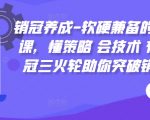 销冠养成-软硬兼备的销售技能课，懂策略 会技术 有能力 销冠三火轮助你突破销售瓶颈!