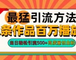 2024年最猛引流方法单条作品百万播放量，当日轻松引流500+，高质量创业粉