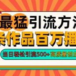 2024年最猛引流方法单条作品百万播放量，当日轻松引流500+，高质量创业粉