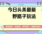 头条最新野路子玩法，无成本简单上手，无脑操作，新手单号过W