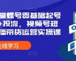 2024蝴蝶号零基础起号全流程+投流，视频号短视频直播带货运营实操课