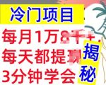 冷门项目，这个方法一定要学会，内部教程，每月1w(揭秘)