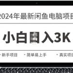 2024最新闲鱼电脑项目，动手就能吃肉的好项目