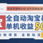 2024淘宝全自动暴力掘金，创业首选，全新玩法，真正的睡后收益