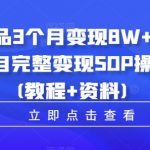 虚拟产品3个月变现8W+，小学教辅项目完整变现SOP操作教程(教程+资料)