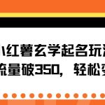 小红薯玄学起名玩法，单日流量破350+，轻松变现