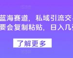 小红书蓝海赛道，私域引流交易，只需要会复制粘贴，日入几张