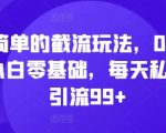 简单的截流玩法，0-1小白零基础，每天私域引流99+【揭秘】