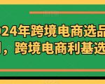 2024年跨境电商选品案例，跨境电商利基选品（更新11月）