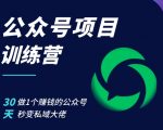 公众号项目训练营，30天做1个赚钱的公众号，秒变私域大佬