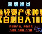 闲鱼轻资产风口四大蓝海项目实操手册，0投资0成本，月入过万，新手可做无需囤货