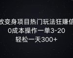 AI特效变身项目热门玩法狂赚信息差，0成本操作一单3-20.轻松一天3张