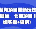 高德蓝海项目最新玩法，无限次掘金，长期项目(附详细实操+资料)