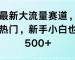 视频号最新大流量赛道，新号也能条条热门，新手小白也能日入5张