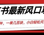 小红书最新风口项目，一天只用10分钟，一单几百块，小白简单无脑操作!