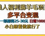 懒人福利薅羊毛项目，无门槛，每天看剧日入几张，多平台变现，小白跟着做就行了