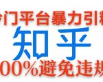 冷门平台暴力引流，日引100+创业粉，0成本100%避免违规的玩法