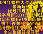 2024年蟠桃大会无人直播最新玩法，稳定开播160小时无违规，抖音、快手、视频号三家通用玩法【揭秘】