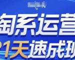 淘系运营21天速成班(更新24年11月)，0基础轻松搞定淘系运营，不做假把式