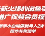 闲鱼引流推广影视会员，0成本就可以操作，新手小白月入过W+【揭秘】