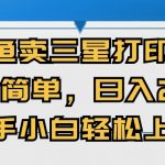 闭鱼卖三星打印机，操作简单，新手小自轻松上手，日入几张