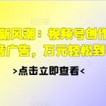 2024娱乐新风潮：视频号创作者分成+抖音广告，万元轻松到手