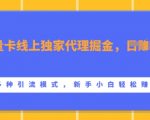 流量卡线上独家代理掘金，日入1k+ ，多种引流模式，新手小白轻松上手【揭秘】